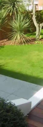 Garden Garden