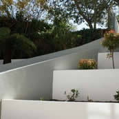 Muswell Hill Garden