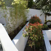 Muswell Hill Garden