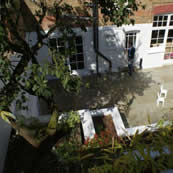 Muswell Hill Garden