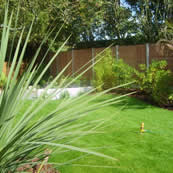 Finchley Garden